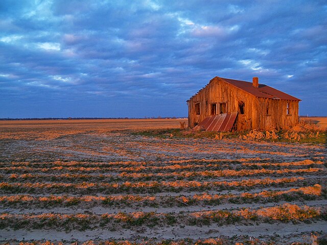 An old house next to a field in the Mississippi Delta.